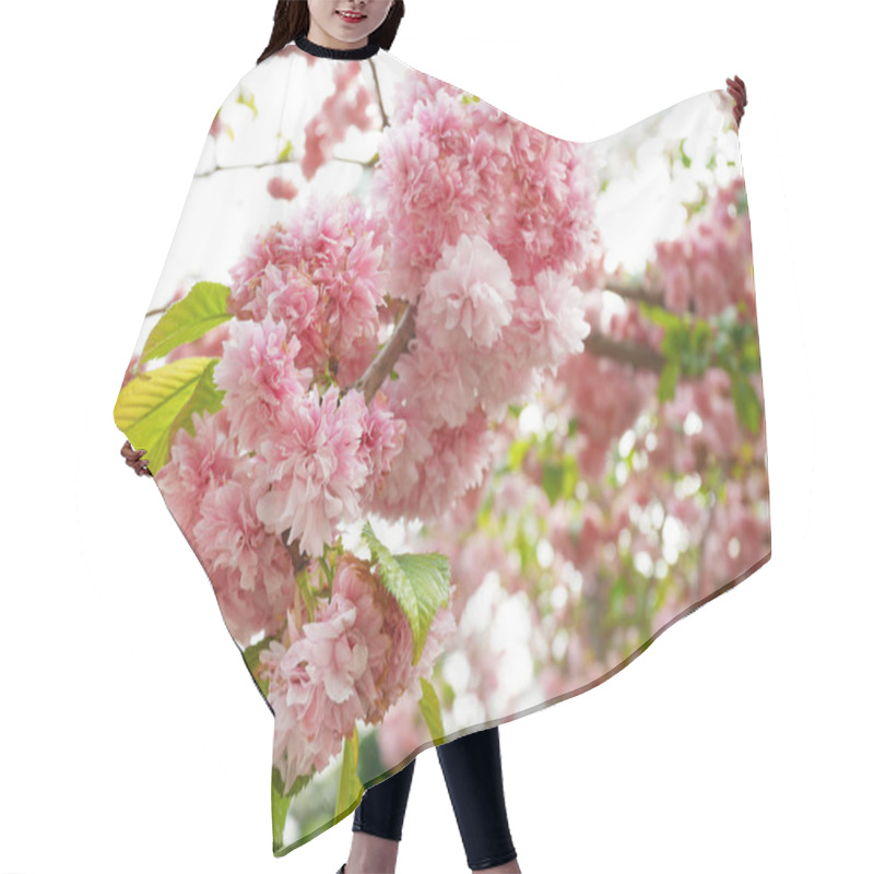 Personality  Pink Cherry Blossoms, Sakura Blossoms Hair Cutting Cape