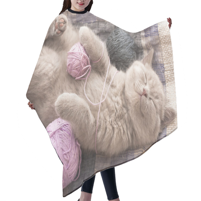 Personality  Sleeping Kitten Hair Cutting Cape