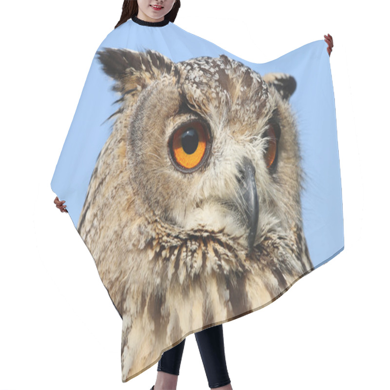 Personality  Indian Eagle-owl Bird Hair Cutting Cape