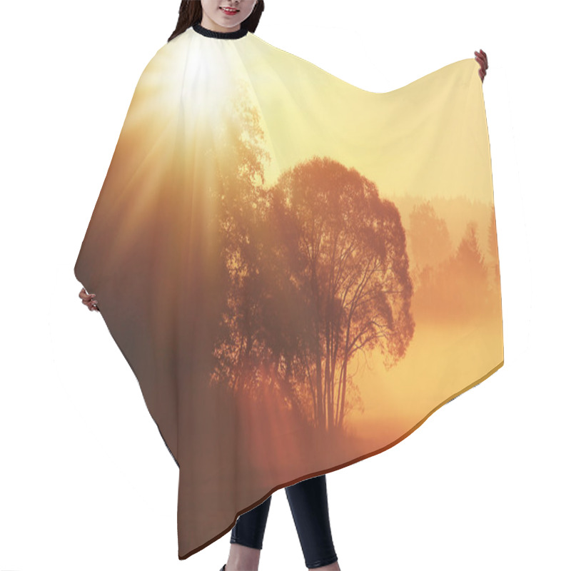 Personality  Tree Hair Cutting Cape