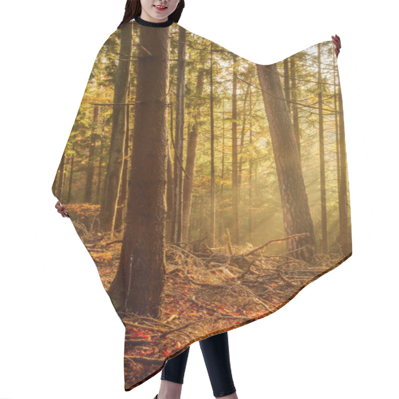 Personality  Black Forest Hair Cutting Cape