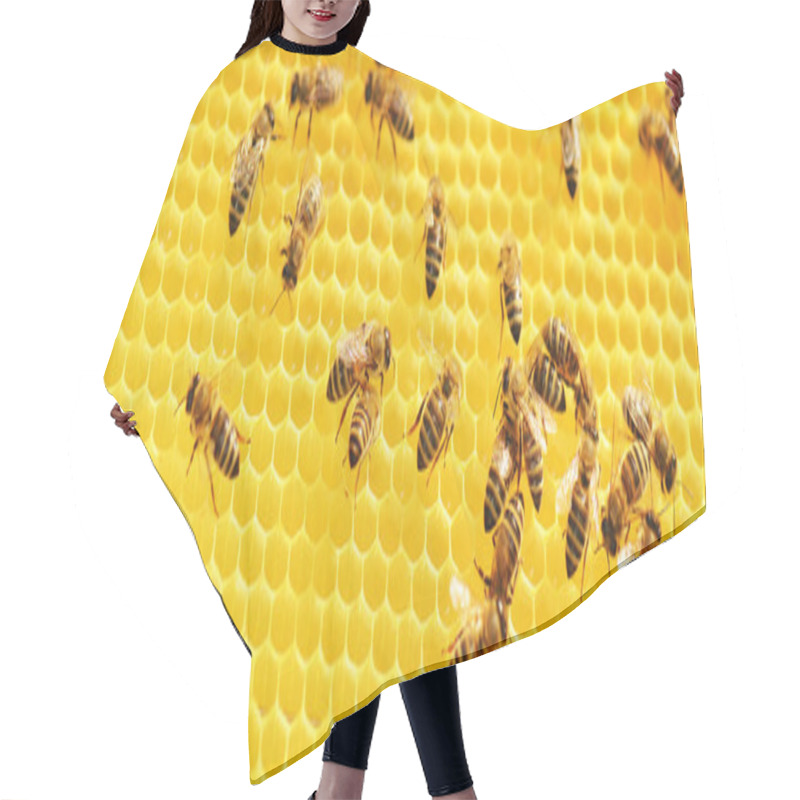 Personality  Hardworking Bees On Honeycomb Hair Cutting Cape