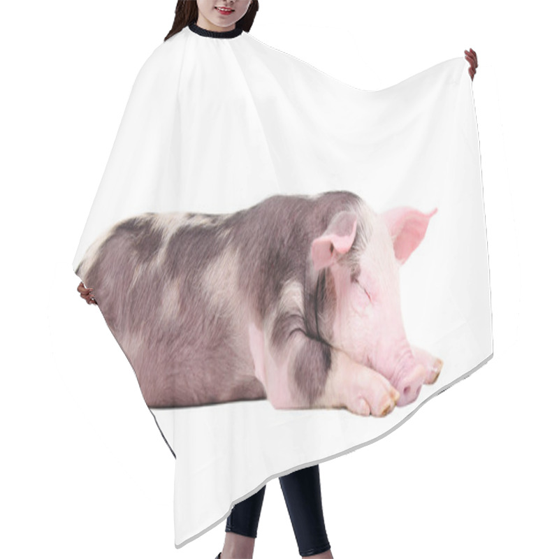 Personality  Sleeping Piglet Isolated Hair Cutting Cape