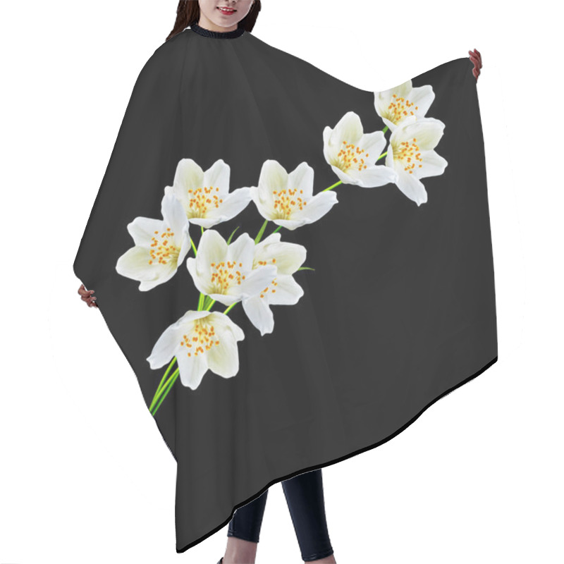 Personality  White Jasmine Flower.  Hair Cutting Cape