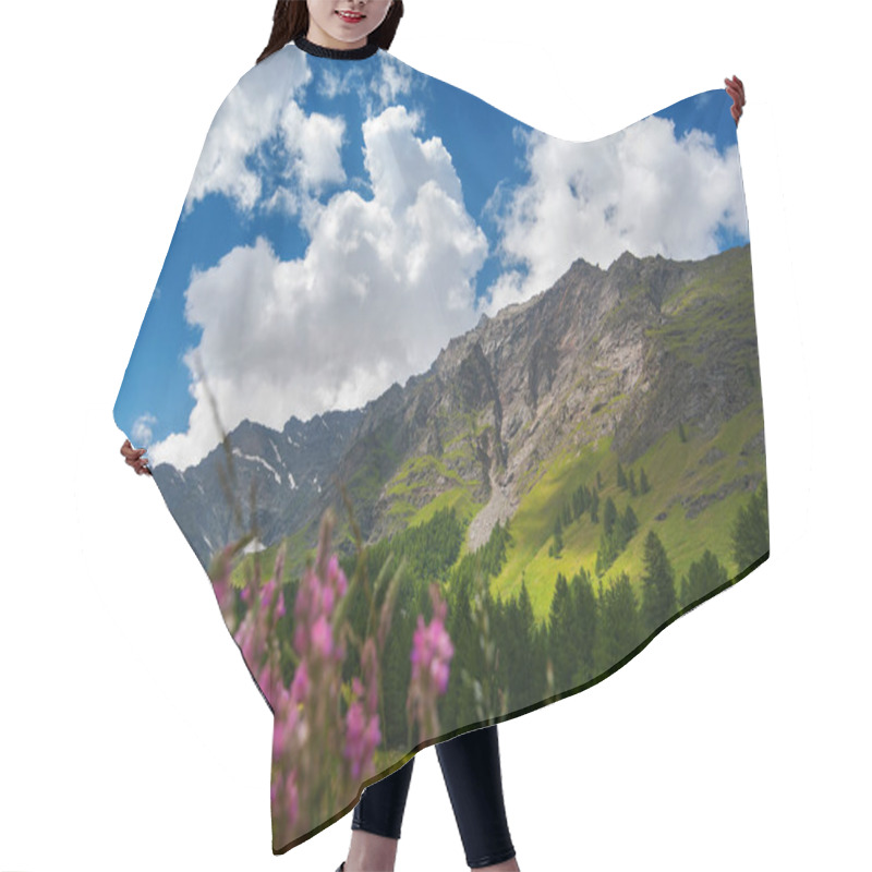 Personality  Panorama Picture Of A Mountain Landscape With Alpine Flowers Hair Cutting Cape