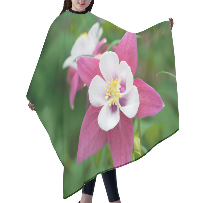 Personality  Wild Pink Columbine Aquilegia Flower Hair Cutting Cape