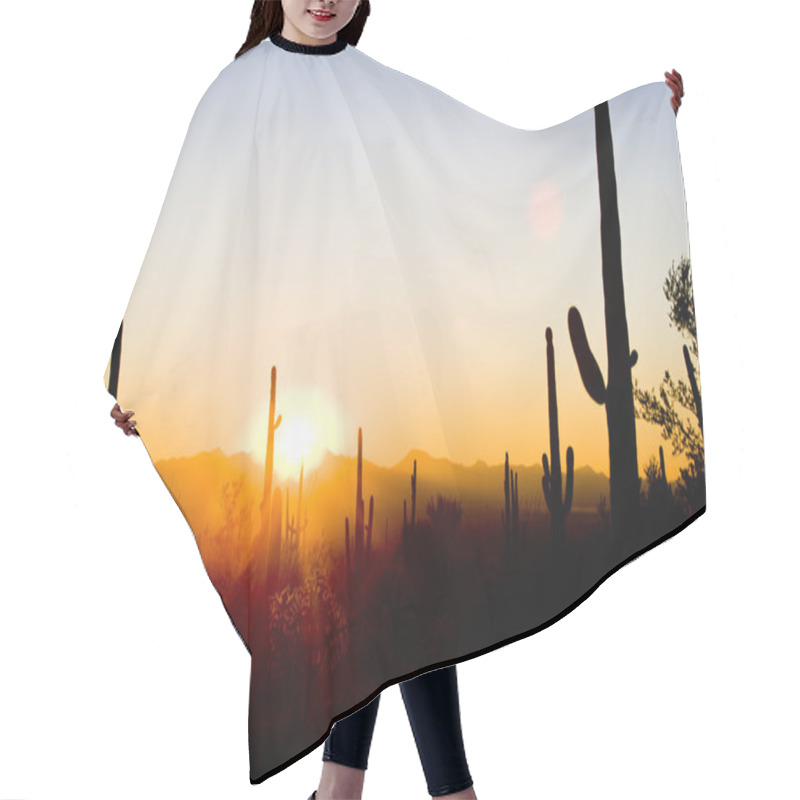 Personality  Sunset In Saguaro National Park, Arizona, USA Hair Cutting Cape