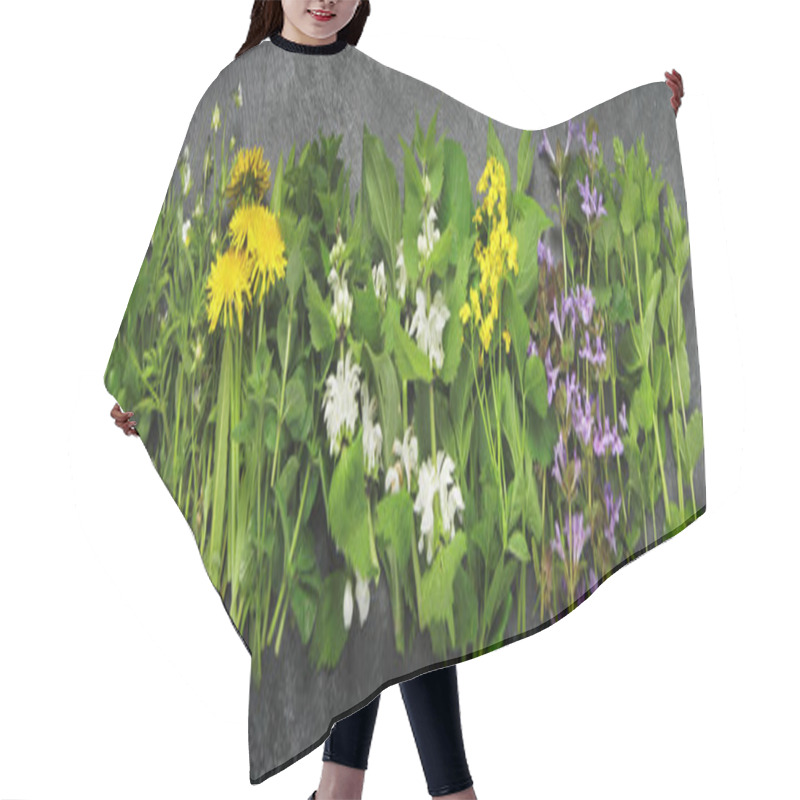 Personality  Edible Plants And Flowers On A Dark Background. Wild Herbs As Sources Of Carotenoids. Flat Lay, Top View, Panorama Hair Cutting Cape