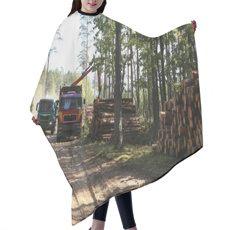 Personality  Timber Harvesting And Transportation In Forest. Transport Of Forest Logging Industry, Forestry Industry.  Hair Cutting Cape