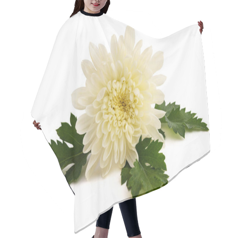 Personality  White Chrysanth Flower Isolated On White Background Hair Cutting Cape