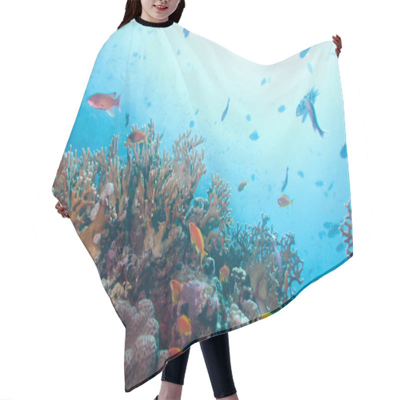 Personality  Marine Life With Tropical Corals Hair Cutting Cape