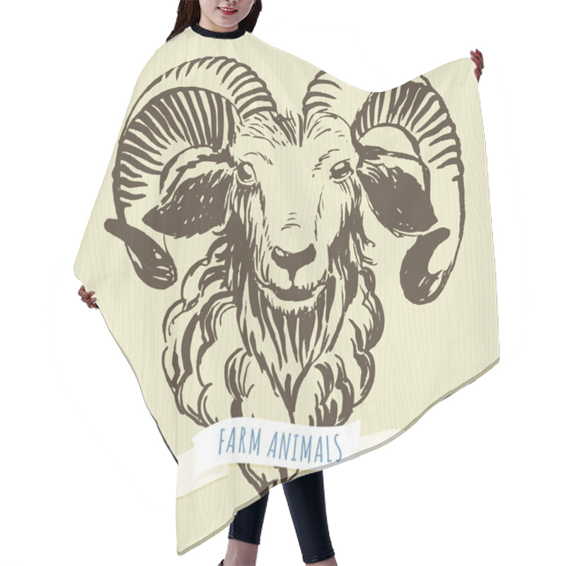 Personality  Marker Hand-drawn Farm Animals: Ram (sheep).  Hair Cutting Cape