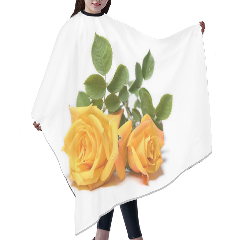 Personality  Yellow Rose Isolated On White Background  Hair Cutting Cape