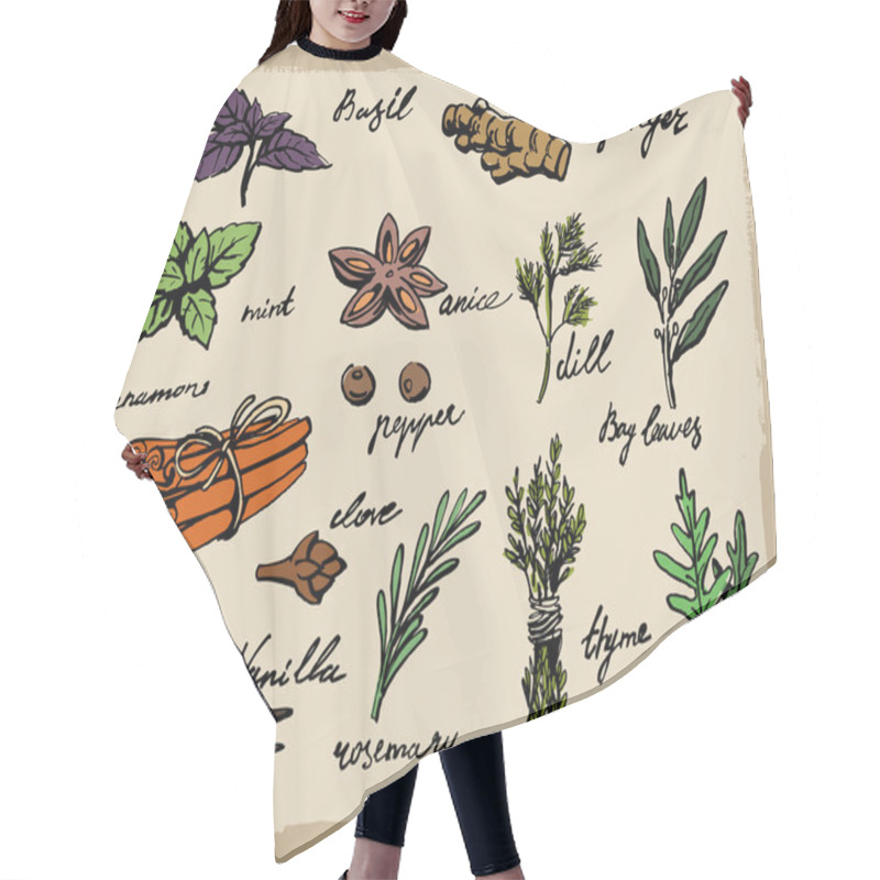 Personality  Vector Spices And Herbs Hair Cutting Cape