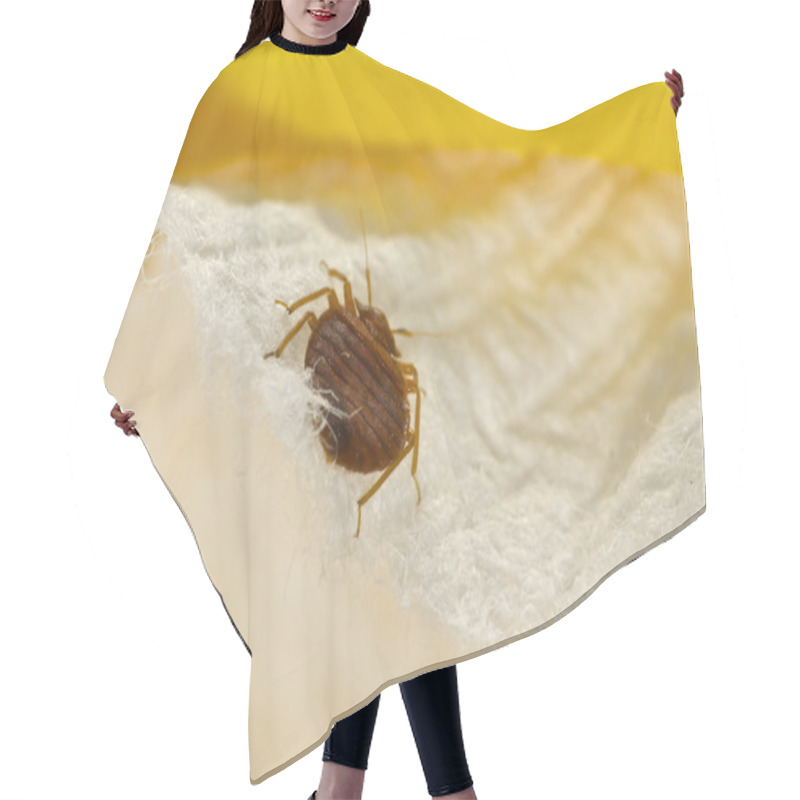 Personality  Bed Bug Hair Cutting Cape