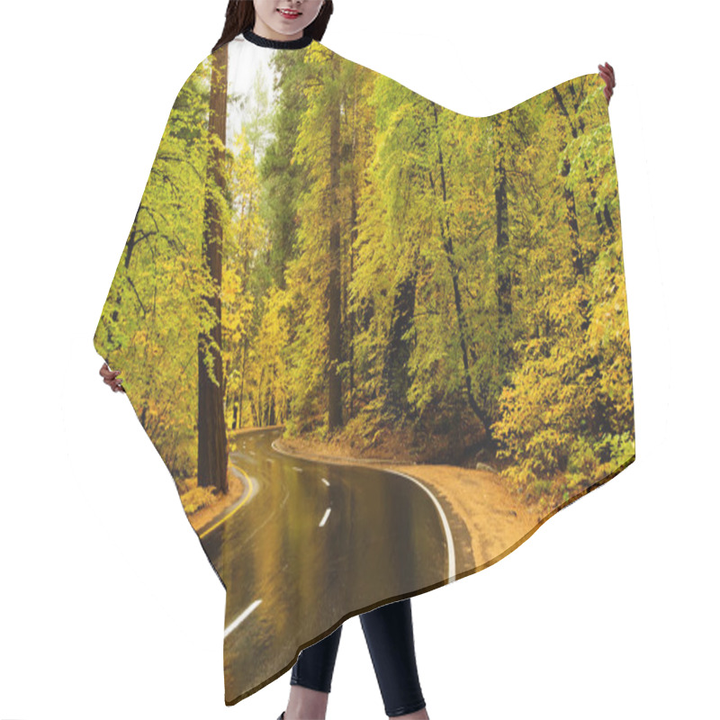 Personality  Spectacular View Of The Road In Yosemite National Park In Autumn Hair Cutting Cape