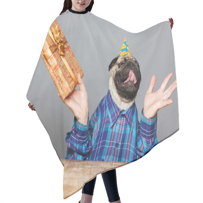 Personality  Excited Happy Pug Dog With Man Hands Holding Gift  Hair Cutting Cape