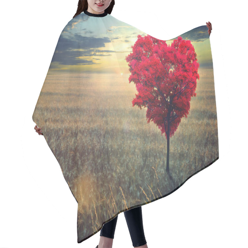 Personality  Red Heart-shaped Tree In The Field Against The Background Of A Decline. Hair Cutting Cape