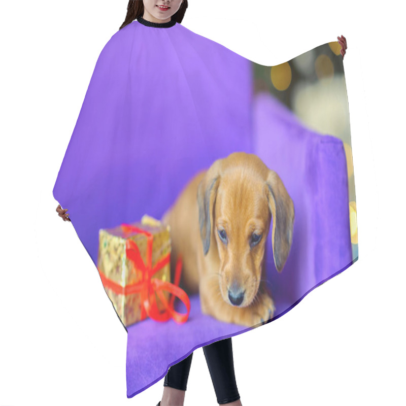 Personality  2018 Year Of The Dog Hair Cutting Cape