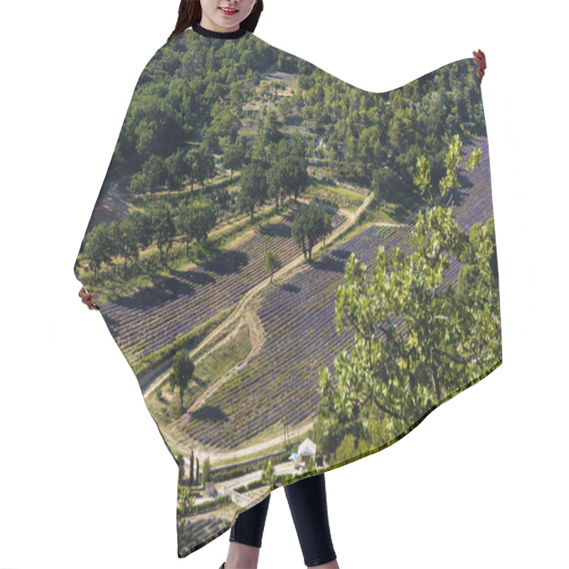 Personality  Aerial View Of Beautiful Blooming Lavender Field And Green Trees, Provence, France Hair Cutting Cape