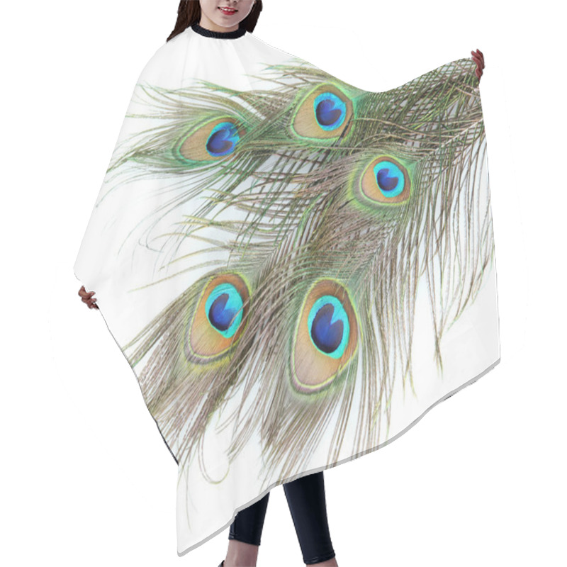 Personality  Peacock Feathers On White Background Close-up Hair Cutting Cape