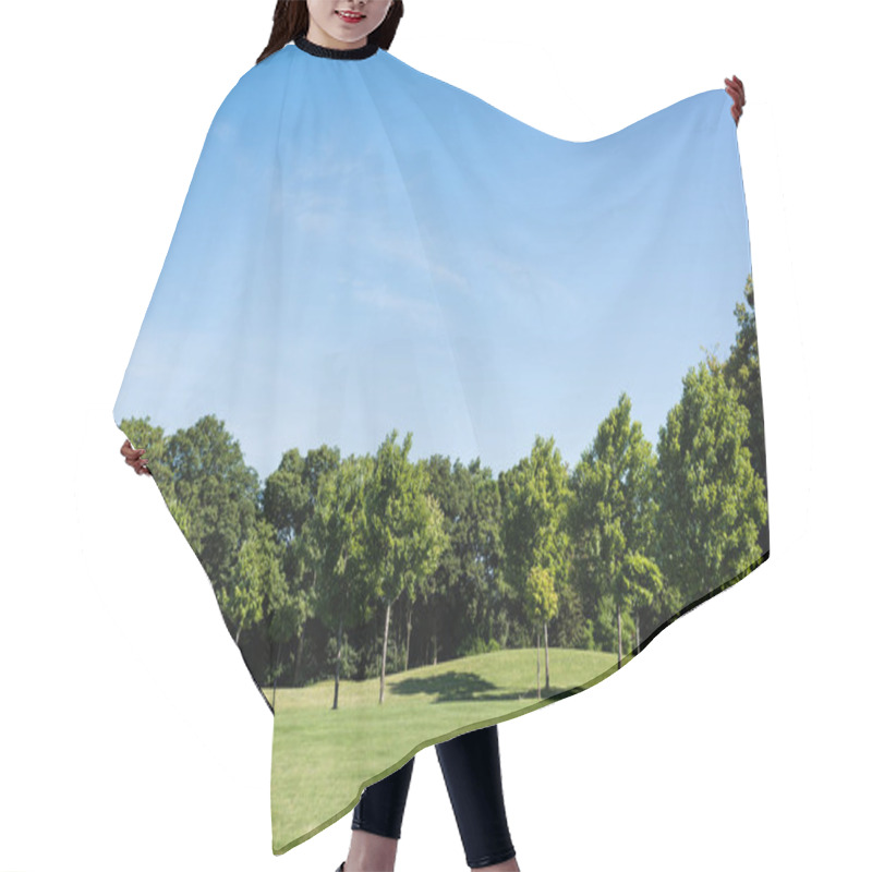 Personality  Trees With Green Leaves On Green Grass Against Blue Sky In Park Hair Cutting Cape