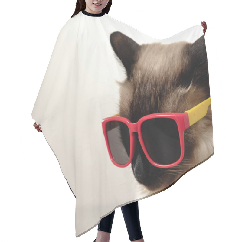 Personality  Funny Cat With Sunglasses Hair Cutting Cape