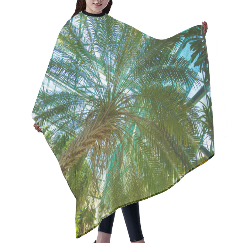 Personality  Tropical Palm Hair Cutting Cape