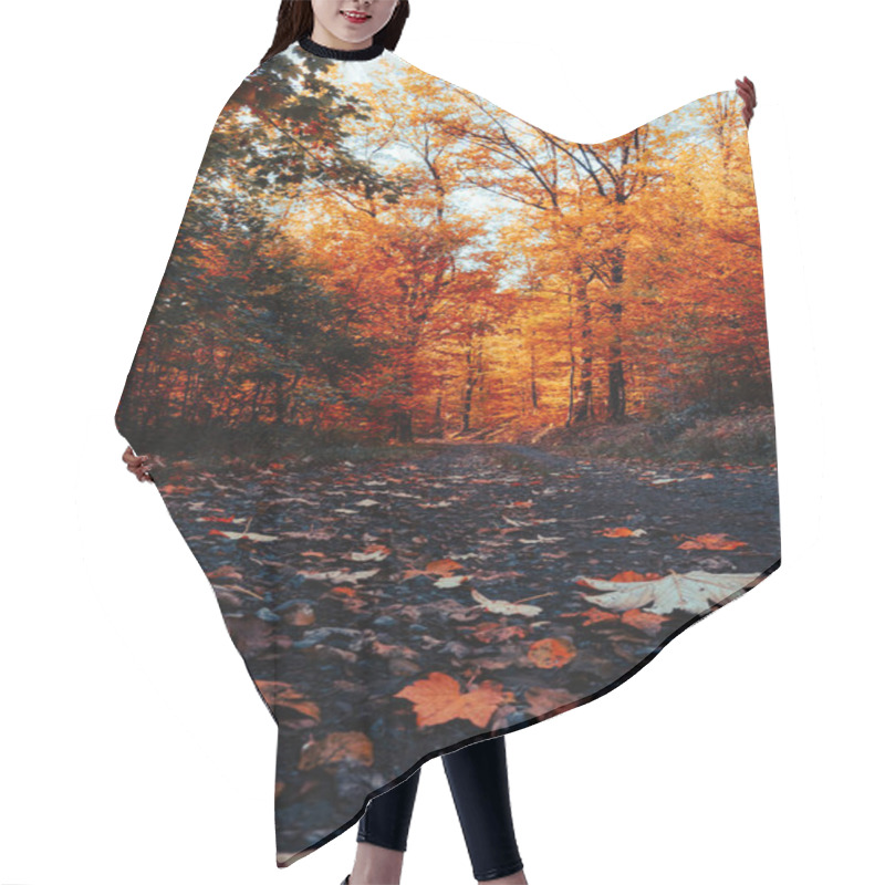 Personality  Autumn In The Forest With Beautiful Golden Leaves And Rich Earth Tones. Hair Cutting Cape