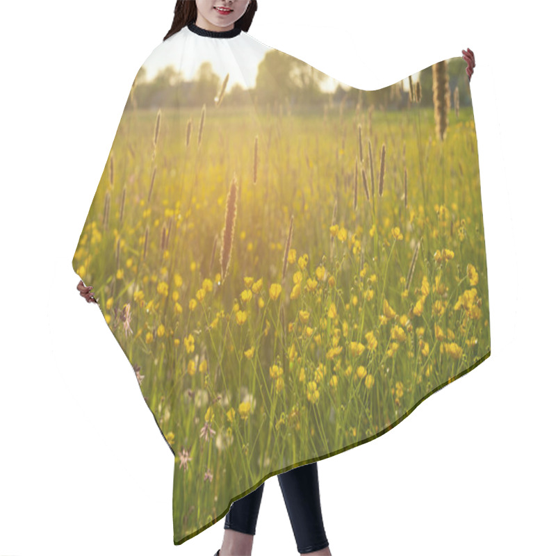 Personality  Bright Field Yellow Flowers Buttercups In The MeadowSunny Spring Day Hair Cutting Cape