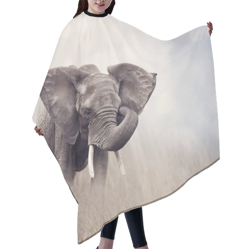 Personality  African Elephant In The Grassland Hair Cutting Cape