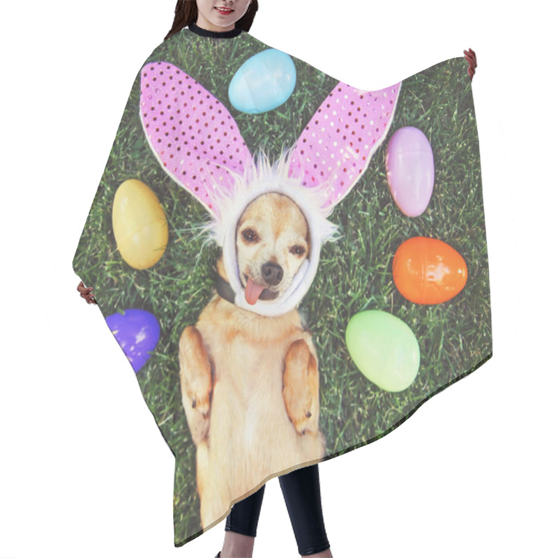 Personality  Authentic Photo Of A Cute Chihuahua With Rabbit Ears On And His Tongue Out Surrounded By Easter Eggs Toned With A Retro Vintage Instagram Filter Hair Cutting Cape