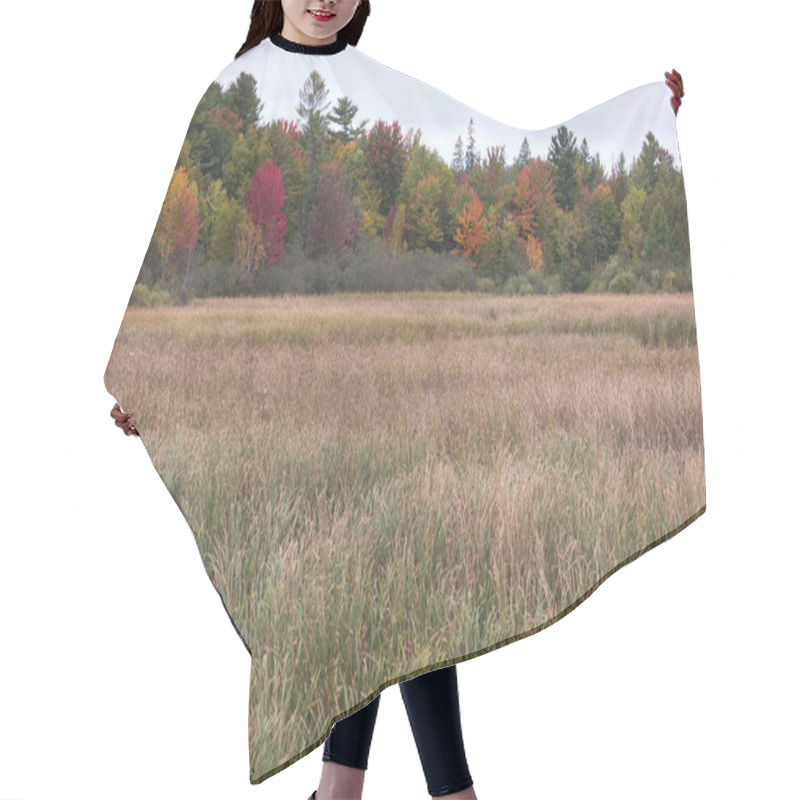 Personality  An Open Area Of Tall, Drying Grass In A Marsh Stands In Front A Forest Of Trees In Autumn, With Fall Colors In Their Foliage. Ottawa, Ontario, Canada. Hair Cutting Cape