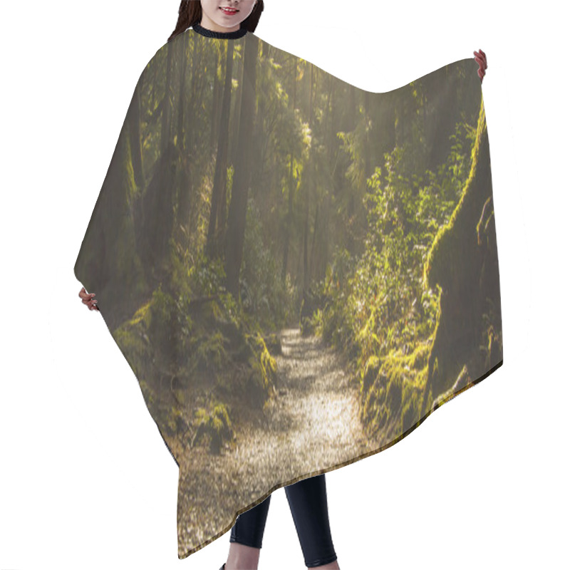 Personality  Rainforest Path Hair Cutting Cape