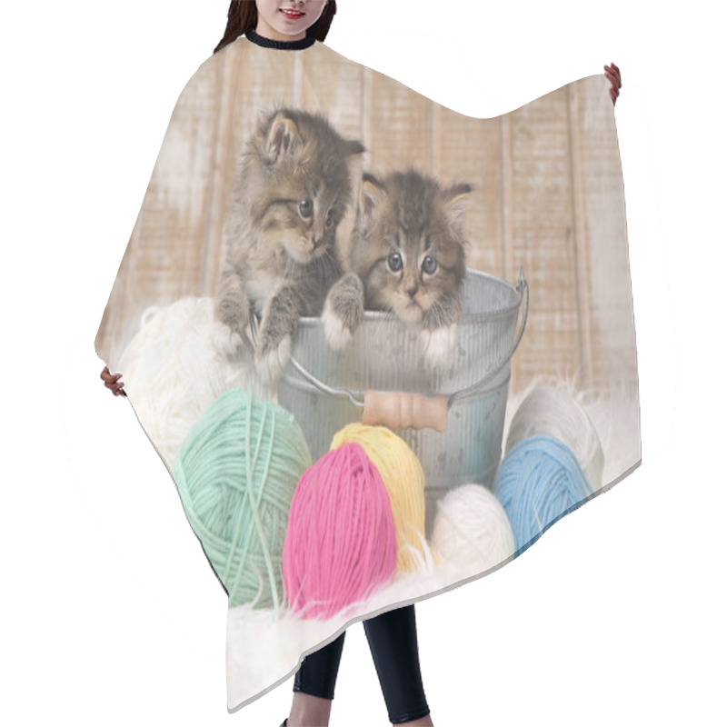 Personality  Kittens With Balls Of Yarn In Studio Hair Cutting Cape