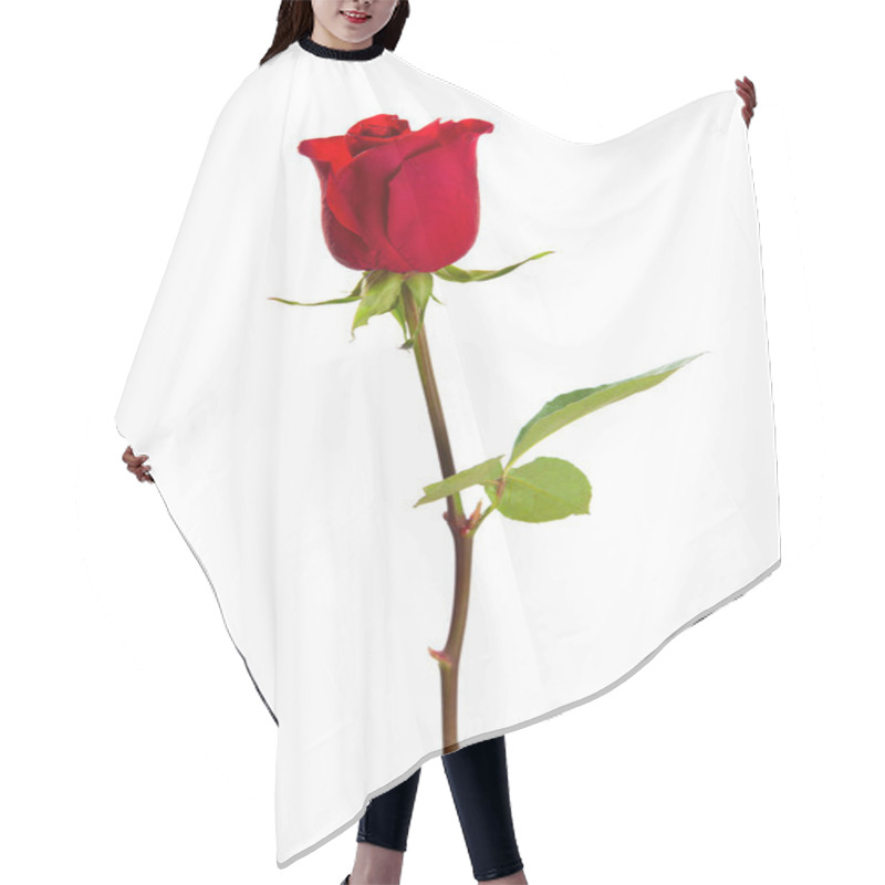 Personality  Red Rose Hair Cutting Cape