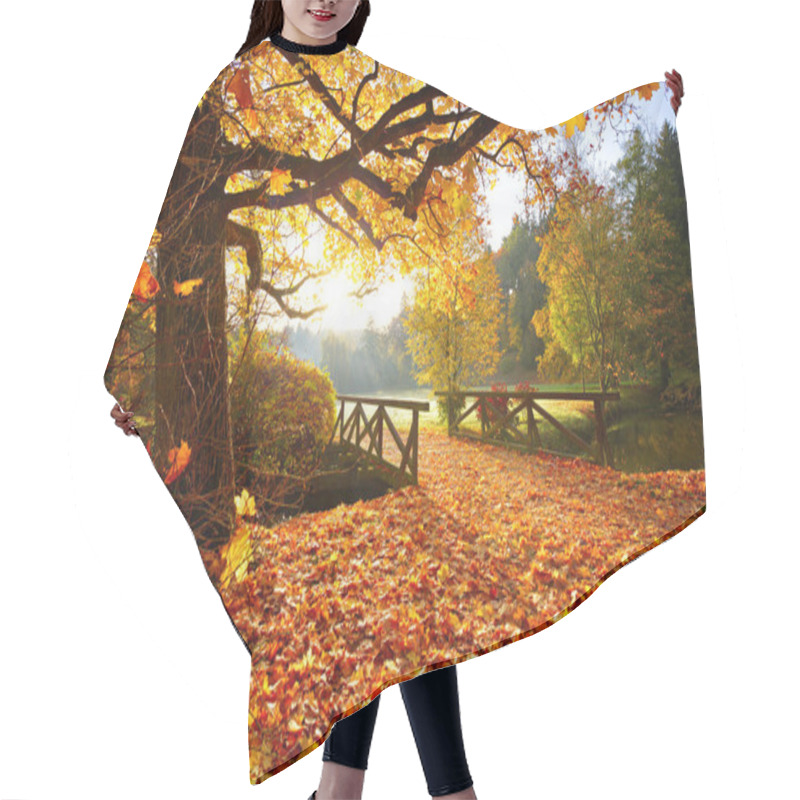 Personality  Autumn Forest. Beautiful Rural Scenery. Hair Cutting Cape