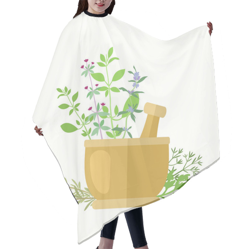 Personality  Composition With Aromatic Herbs And Mortar. Dill, Basil, Oregano, Hyssop, Parsley, Savory And Rosemary For Cooking Or Herbal Medicine Theme. Vector File Is EPS8. Hair Cutting Cape