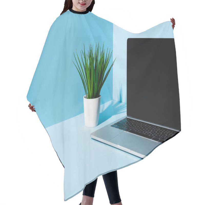 Personality  Modern Laptop With Green Plant On Blue Background Hair Cutting Cape