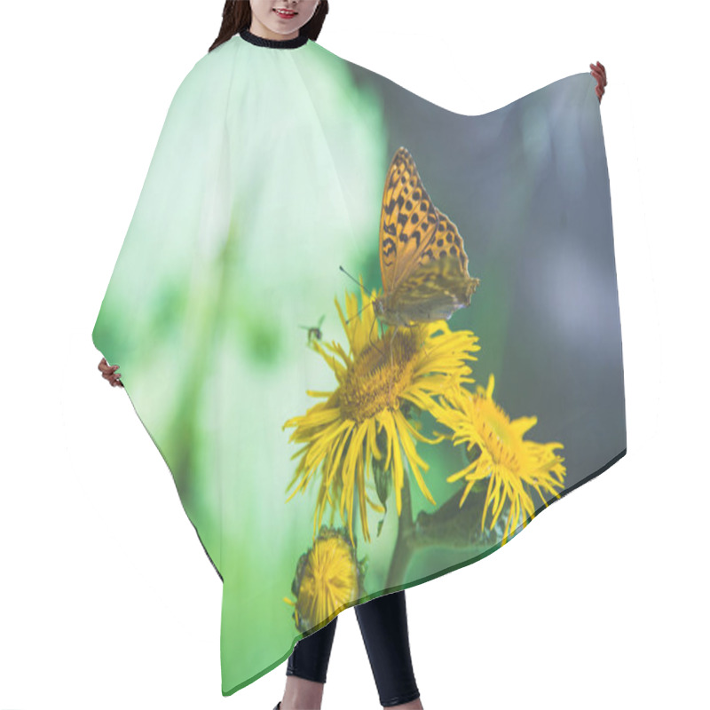 Personality  Beautiful Butterfly On A Yellow Flower. Spring Time. Hair Cutting Cape