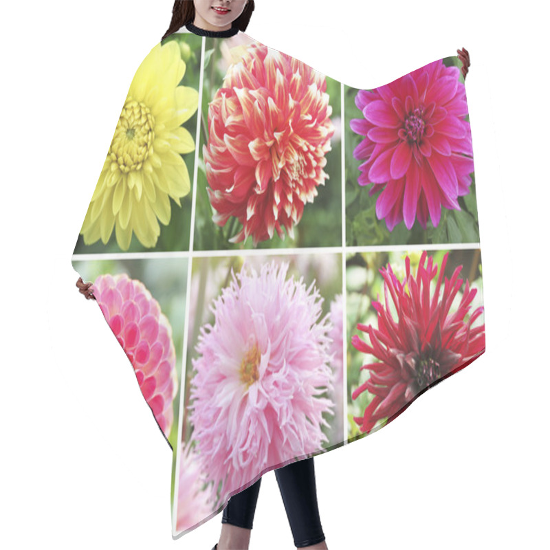 Personality  Collage With Dahlia Flowers  Hair Cutting Cape