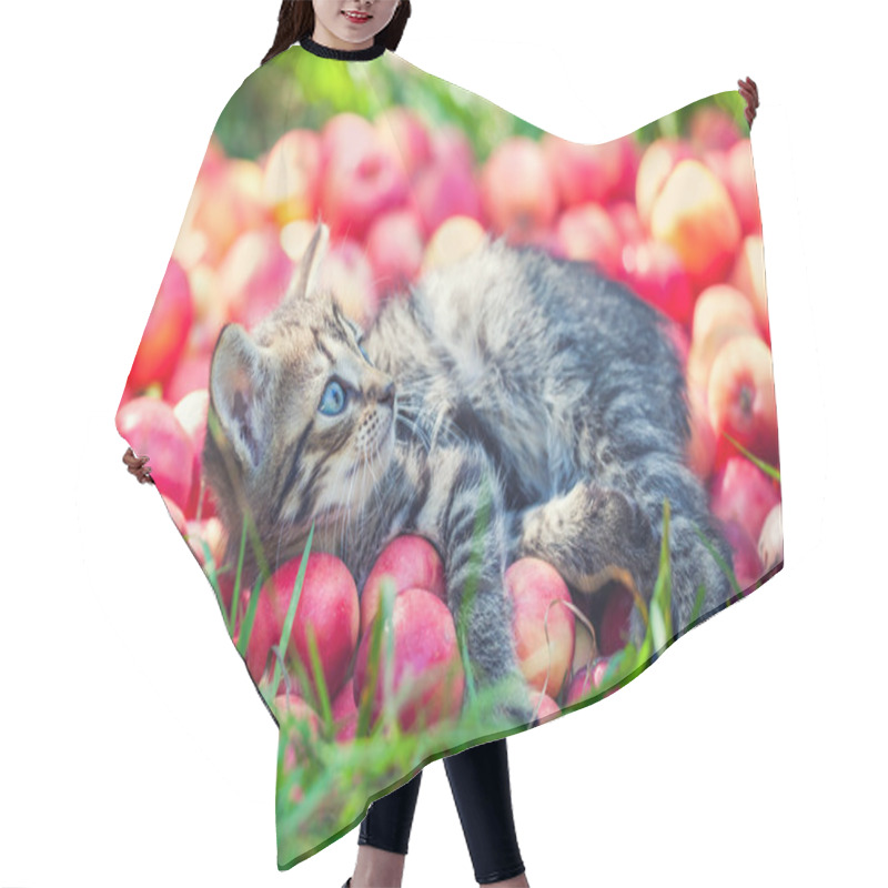 Personality  Cute Little Kitten With Apples Hair Cutting Cape