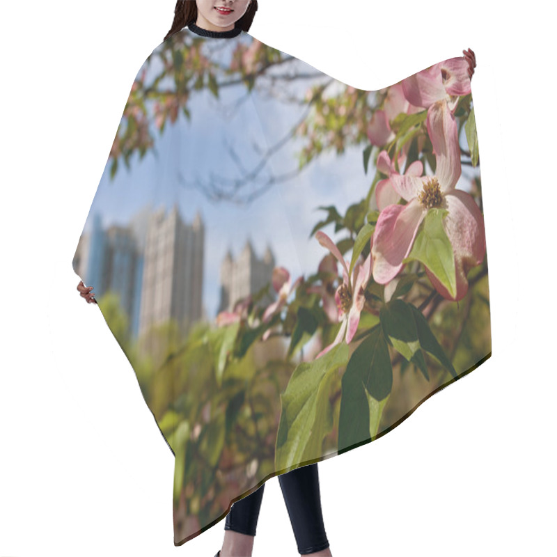 Personality  Pink Dogwood Tree Blossoms Frame Springtime Atlanta Cityscape Hair Cutting Cape