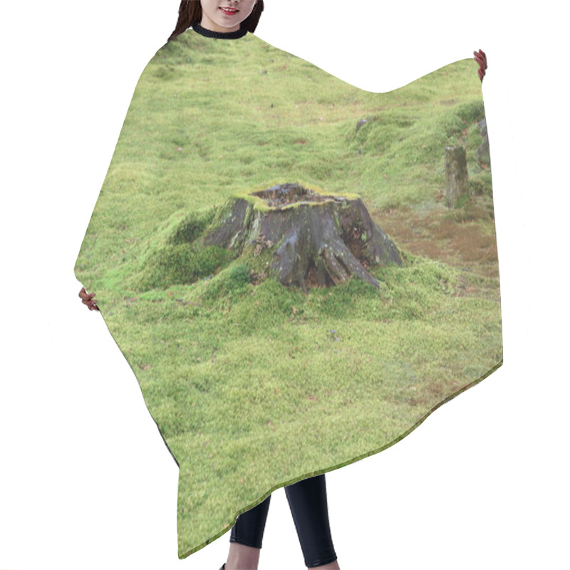 Personality  Moss Garden Of Sanzenin In Kyoto, Japan Hair Cutting Cape