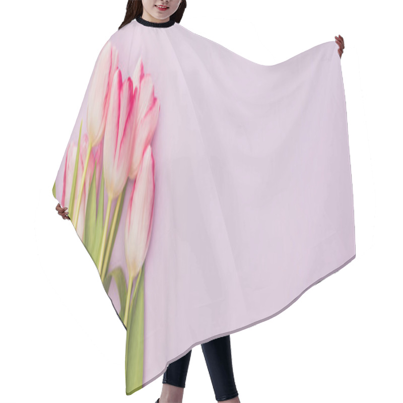 Personality  Top View Of Tulips On Violet Background, Panoramic Shot Hair Cutting Cape