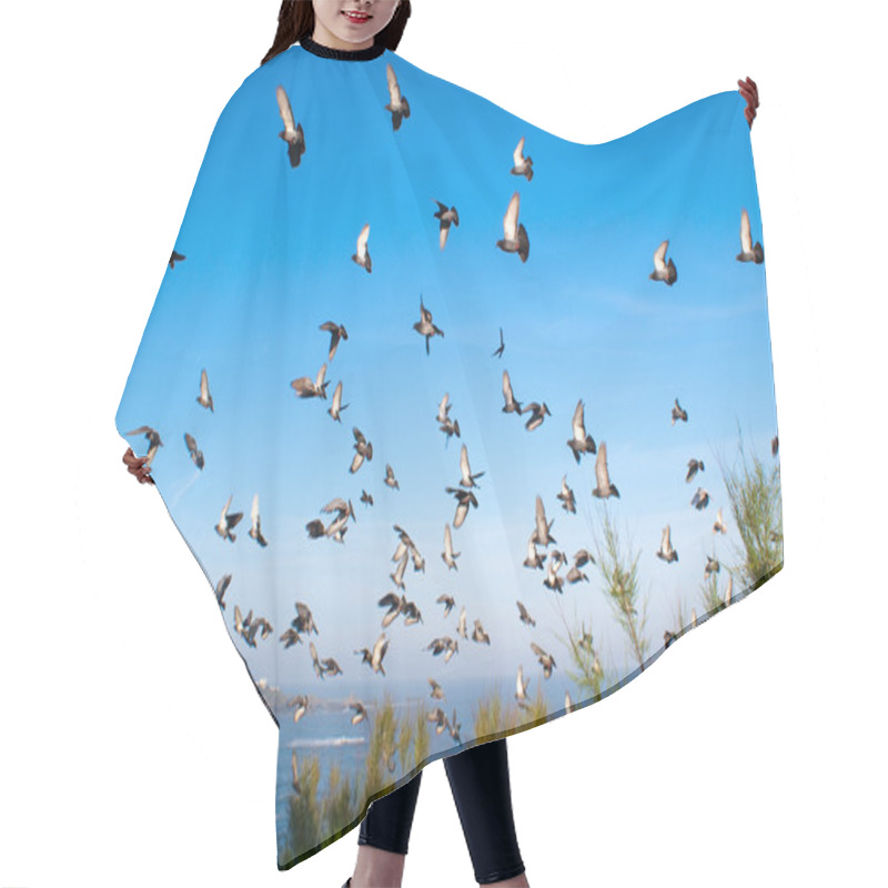 Personality  Pigeon Hair Cutting Cape