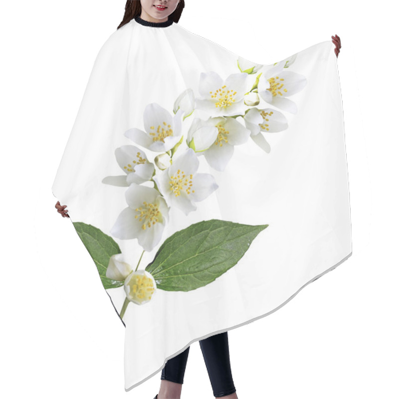 Personality  Branch Of Jasmine Flowers Isolated On White Background Hair Cutting Cape