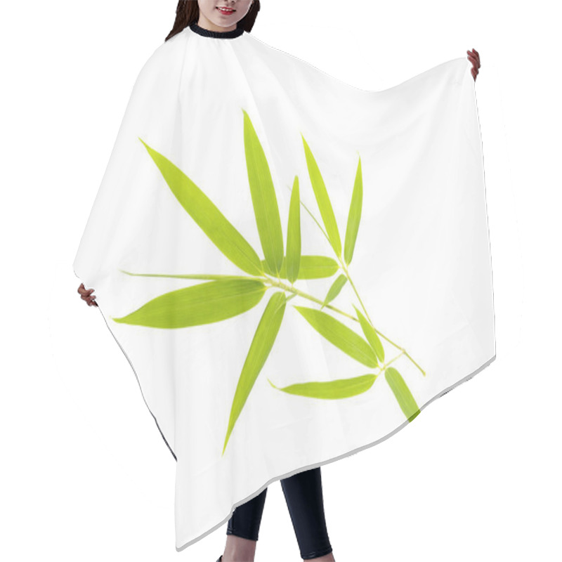 Personality  Green Bamboo Leaves Isolated On White Background Hair Cutting Cape