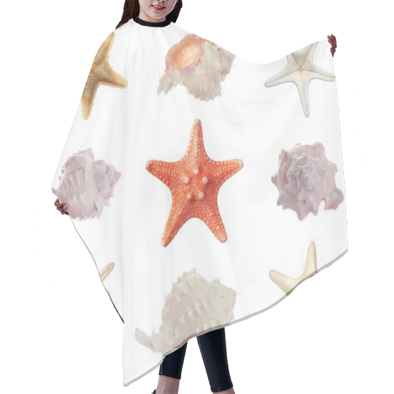 Personality  Collection Of Different Beautiful Sea Stars And Shells On White Background Hair Cutting Cape