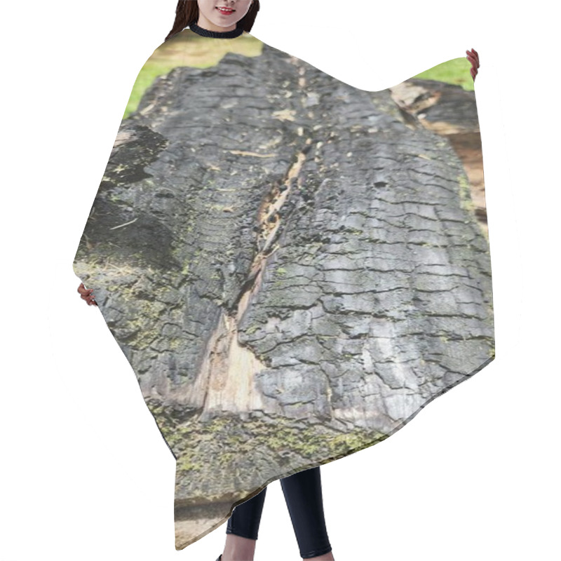 Personality  Close-up Of A Partially Burned And Charred Wooden Log With Textures Of Blackened Bark And Green Moss, Capturing A Natural Element Decaying And Growing Outdoors With A Vibrant Background. Hair Cutting Cape